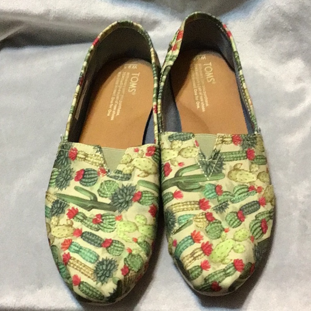Toms cactus design 9.5W EUC